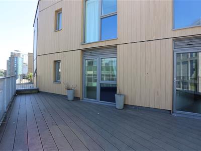 Picture 6